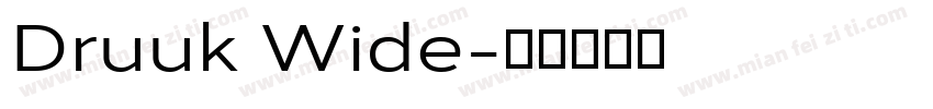 Druuk Wide字体转换